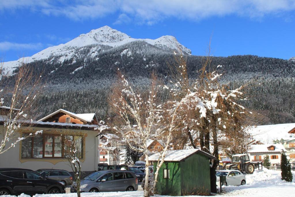 Hotel Stella Alpina Andalo Eksteriør billede